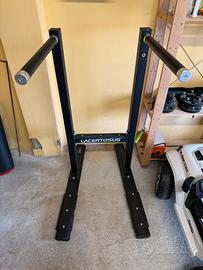 Dip station pro lacertosus