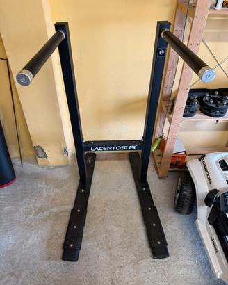 Dip station pro lacertosus