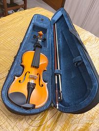 Violino