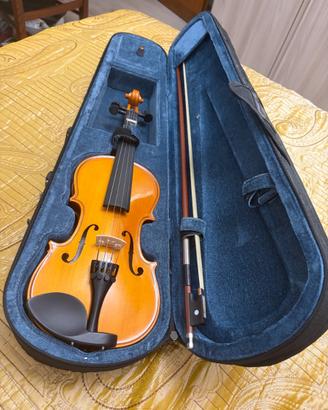 Violino
