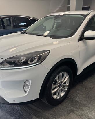 Ford Kuga 1.5 TDCi 120 CV 2WD Titanium