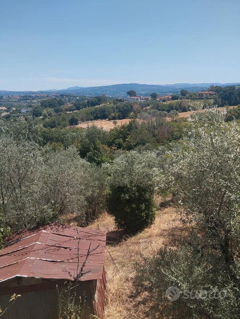 villetta indipendente con terreno - Vista 5