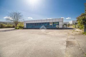 NEGOZIO A CITTADUCALE