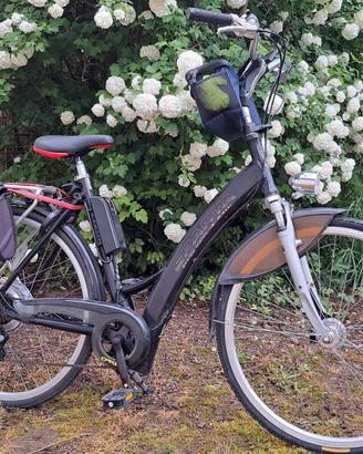 Bicicletta elettrica 