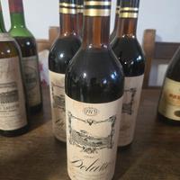 5 bottiglie dolcetto momperone