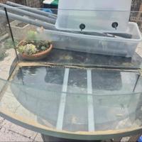 ACQUARIO TARTARUGHE 150L