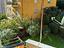 Immagine 11