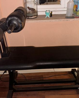 Panca per addominali Technogym