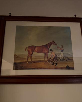 Quadri cavalli con cornice in legno