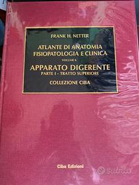 Netter Apparato digerente Parte 1