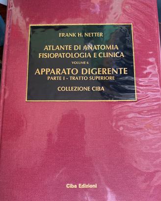 Netter Apparato digerente Parte 1
