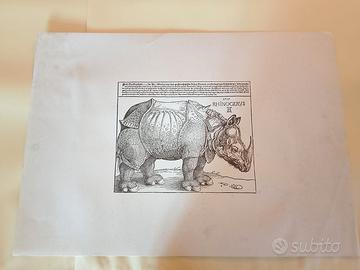 COLLEZIONE DI GRAFICA D’ARTE ORIGINALE