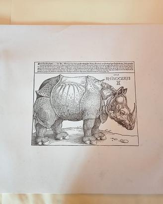 COLLEZIONE DI GRAFICA D’ARTE ORIGINALE