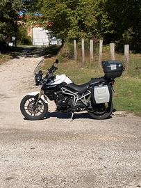 Tiger 800