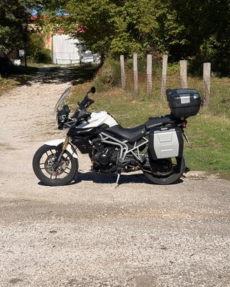 Tiger 800