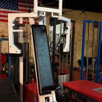 PANATTA FANTASTIC PECTORAL MACHINE