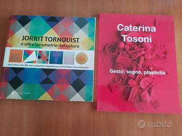 JORRIT TORNQUIST/CATERINA TOSONI 2 CATALOGHI