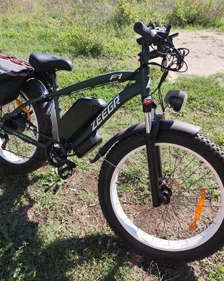 bicicletta elettrica 