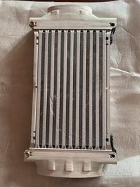 Radiatore intercooler Mini Cooper S R53