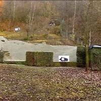 CINGHIALE MECCANICO - CINGHIALE CORRENTE