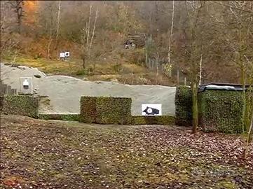 CINGHIALE MECCANICO - CINGHIALE CORRENTE