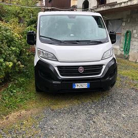 Minibus/ Ducato 9 posti con pedana