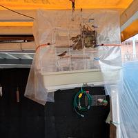 X GIARDINO CANTA TUTTO IL GIORNO EURO 39