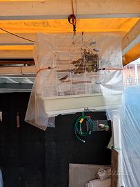 X GIARDINO CANTA TUTTO IL GIORNO EURO 39