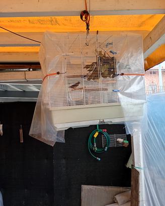 X GIARDINO CANTA TUTTO IL GIORNO EURO 39