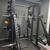 Home Gym Lacertosus linea PRO completa