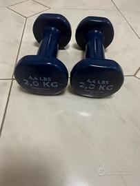Coppia manubri 2 kg – Pesi palestra fitness