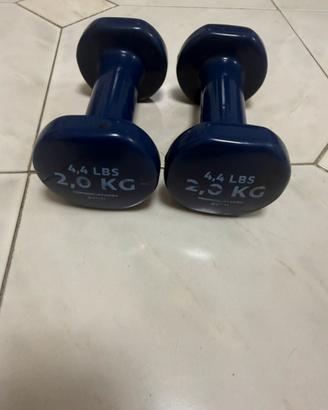Coppia manubri 2 kg – Pesi palestra fitness