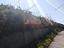 Immagine 11