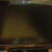 Televisore LCD 19" Shinelco