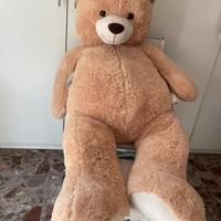 Orso xxxxxxxl
