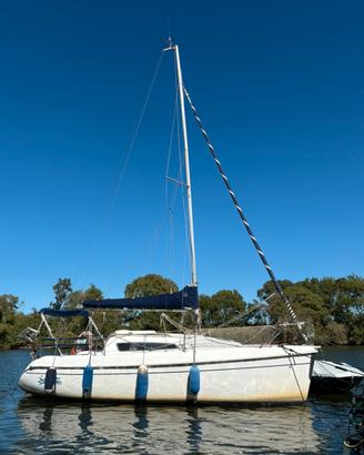 Barca a vela FPMarine 730