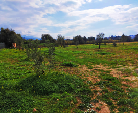 Terreno 2300 MQ