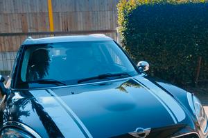 Mini Cooper Countryman benzina 