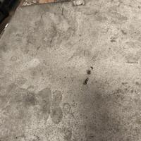 4 antichi specchi al mercurio