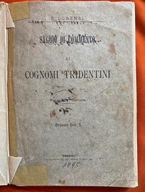Cognomi Tridentini, 1895, Ernesto Lorenzi