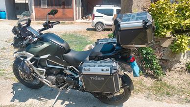 Triumph Rally Explorer 2022