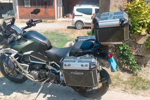 Triumph Rally Explorer 2022