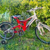 Bicicletta Casadei MTB full suspension