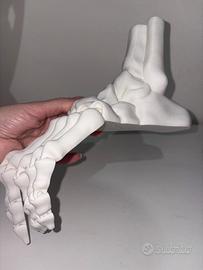 Piede Scheletrico, Decorazione Horror Halloween