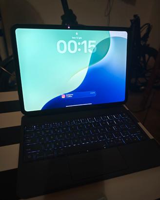 iPad pro M4 11 pollici 