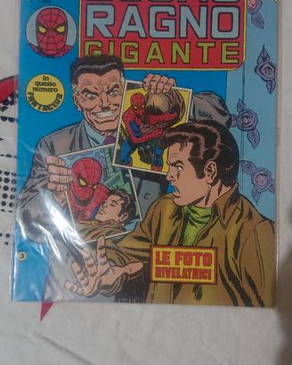 Uomo ragno corno gigante 85