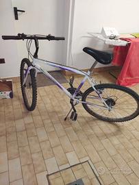 Bicicletta