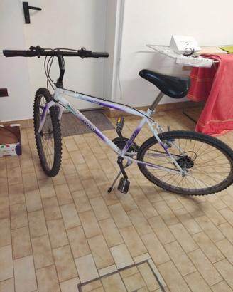Bicicletta