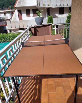 tavolo ping pong
