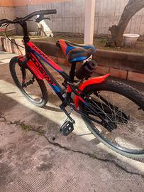 bicicletta bambino
